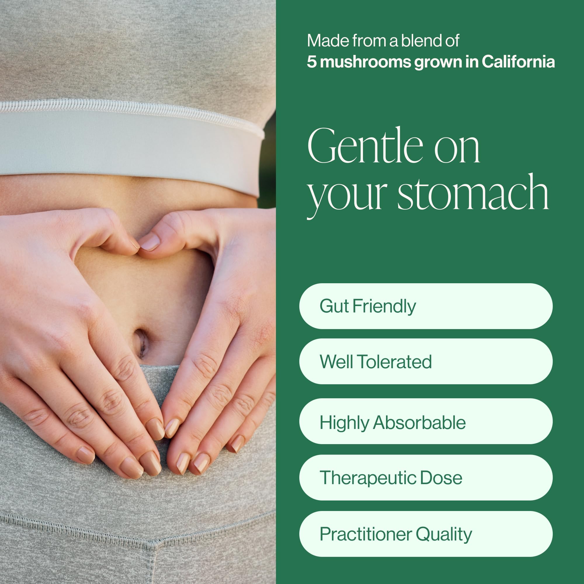California farm harvest of organic mushrooms used in the supplement