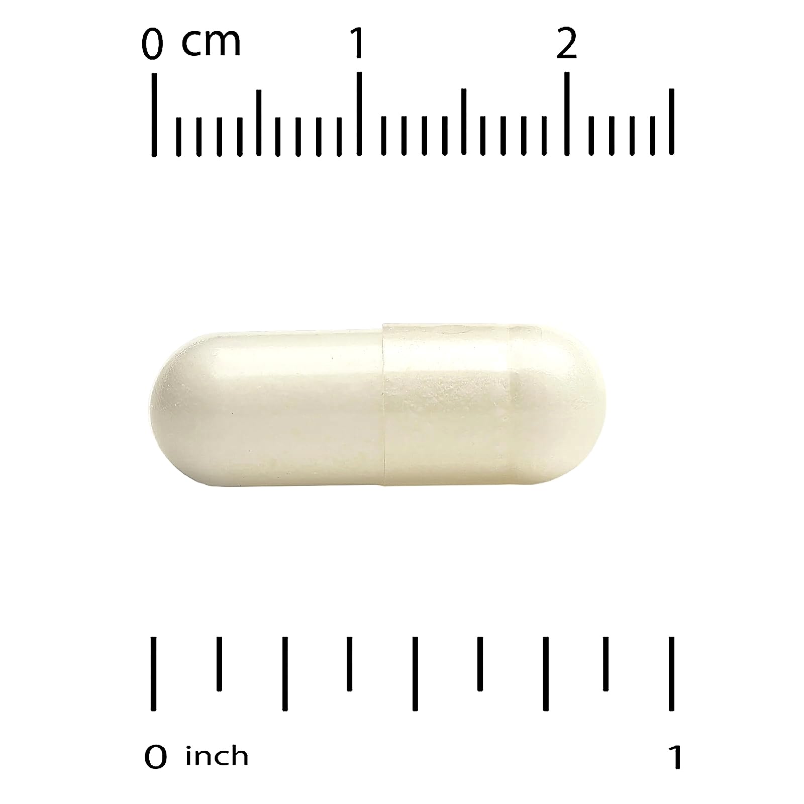 Sugar-free, vegetarian probiotic capsules in blister packing