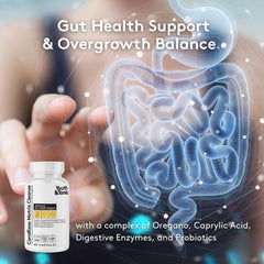 Oregano and caprylic acid capsules close-up