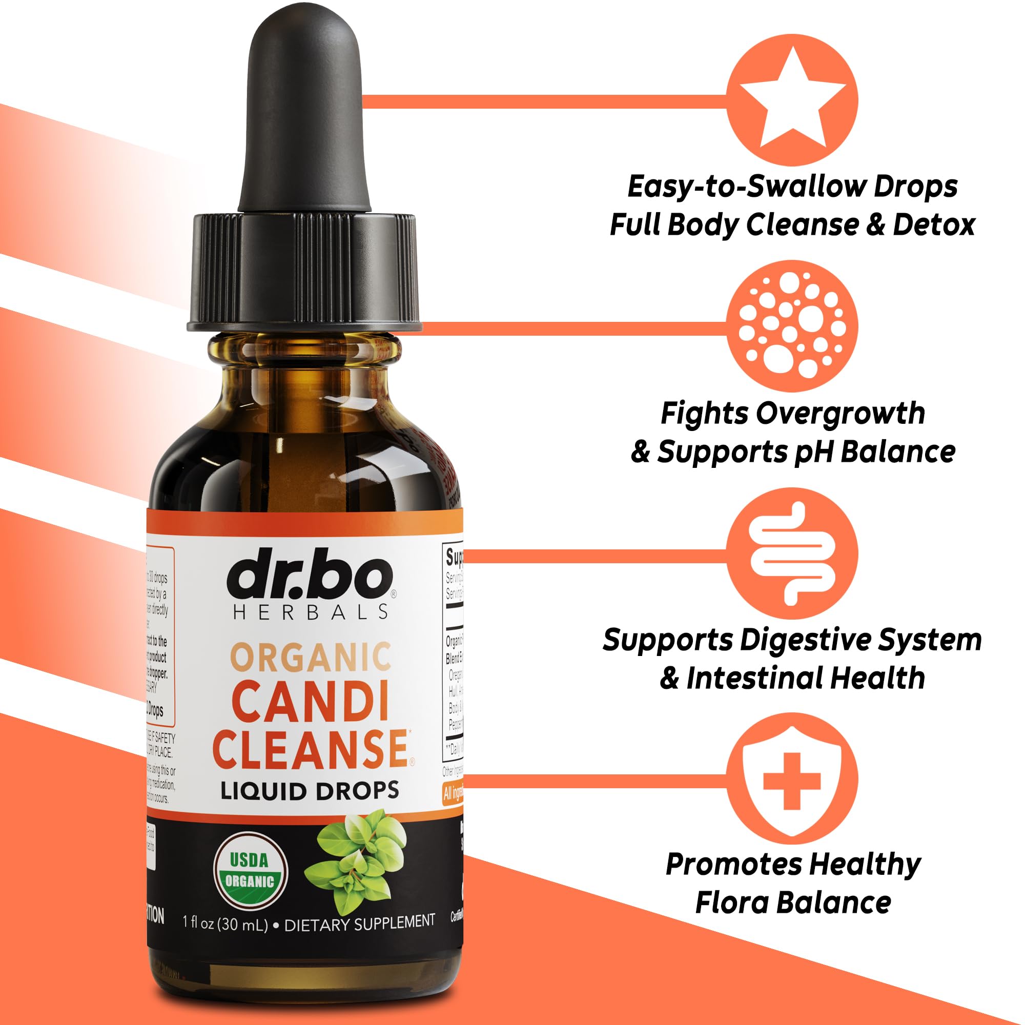 Organic oregano oil liquid drops for gut health
