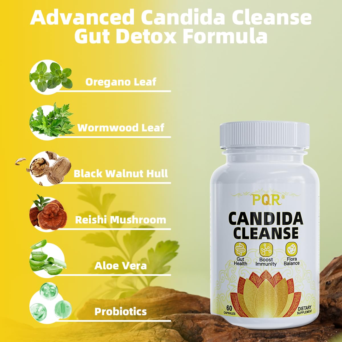 Black walnut used in Candida Cleanse formula