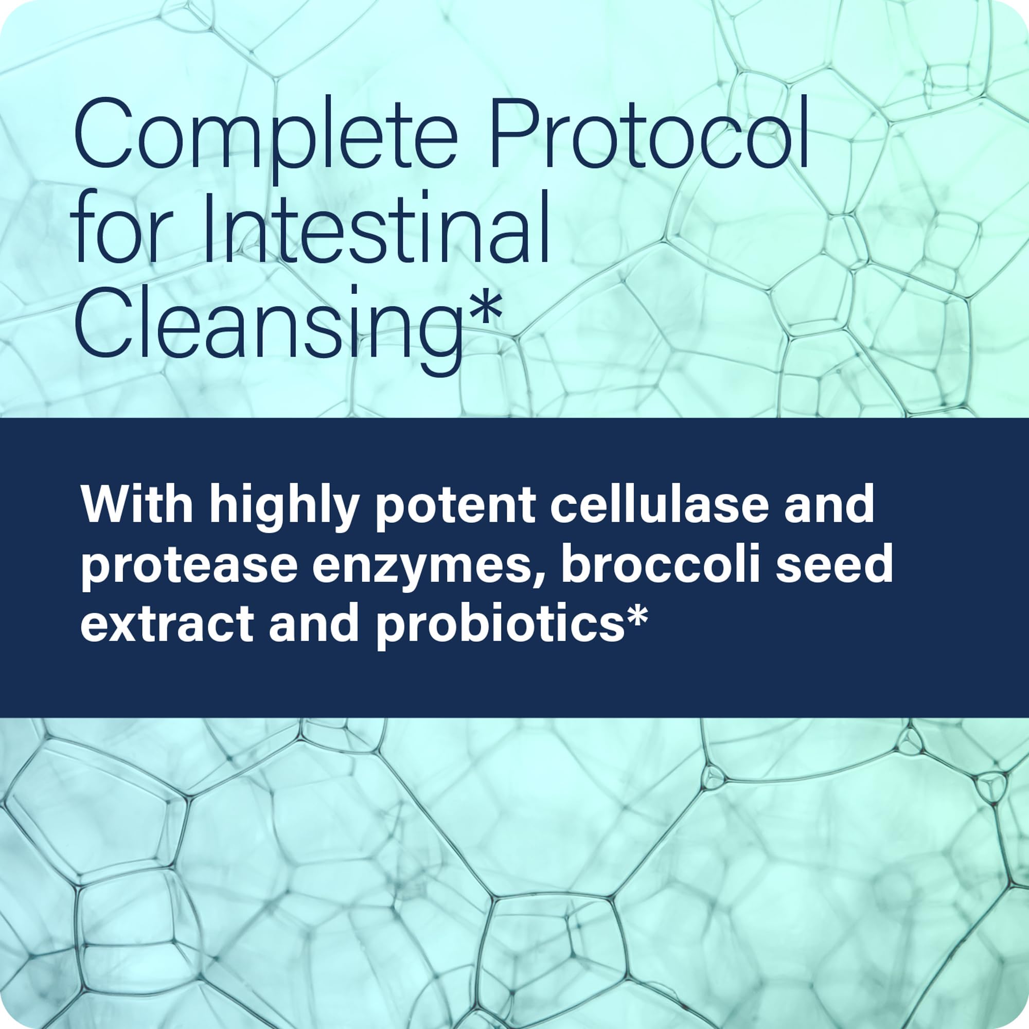 Ingredients highlight: digestive enzymes and broccoli seed extract