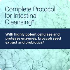 Ingredients highlight: digestive enzymes and broccoli seed extract