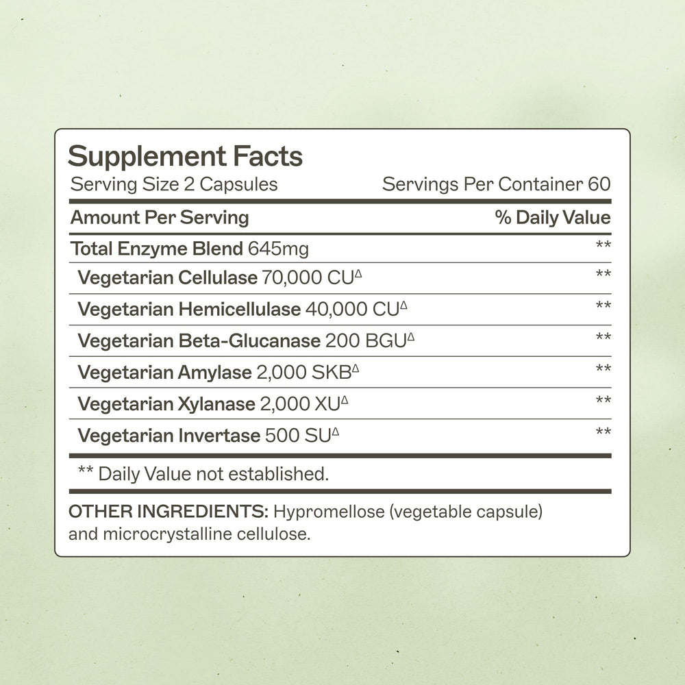 Plant-based digestive enzymes concept illustrating enzymes and fiber digestion