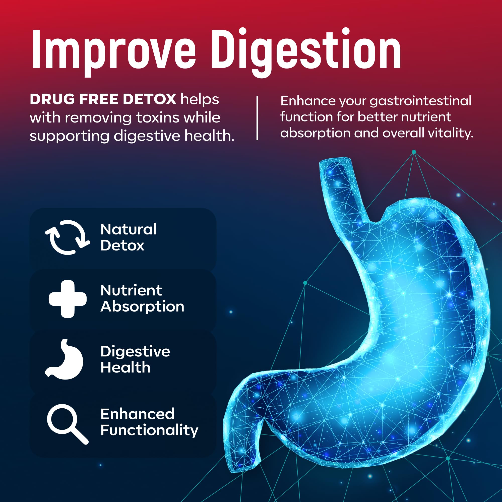Illustration of gut health and detox benefits