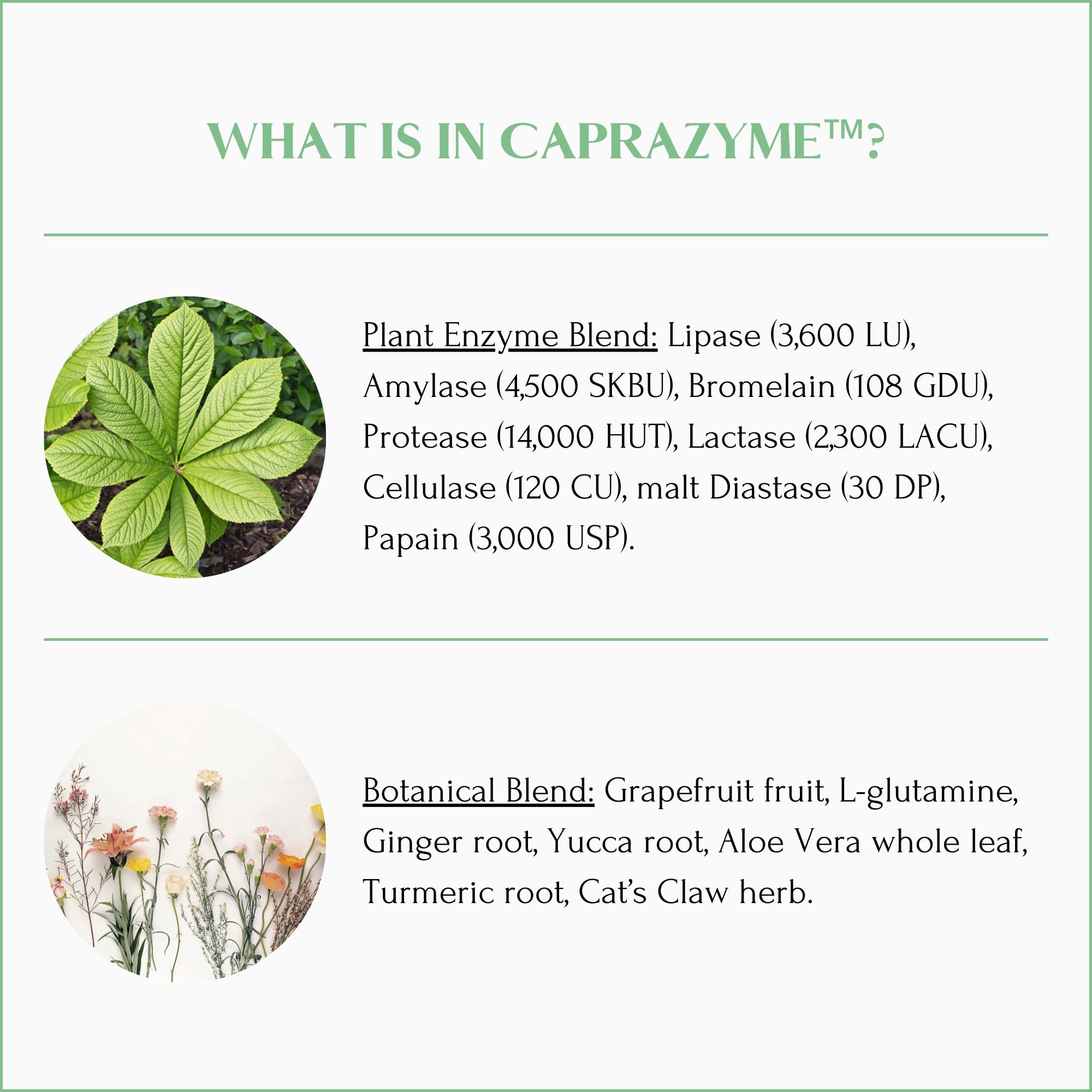 Vegetarian enzyme capsules by Mt. Capra