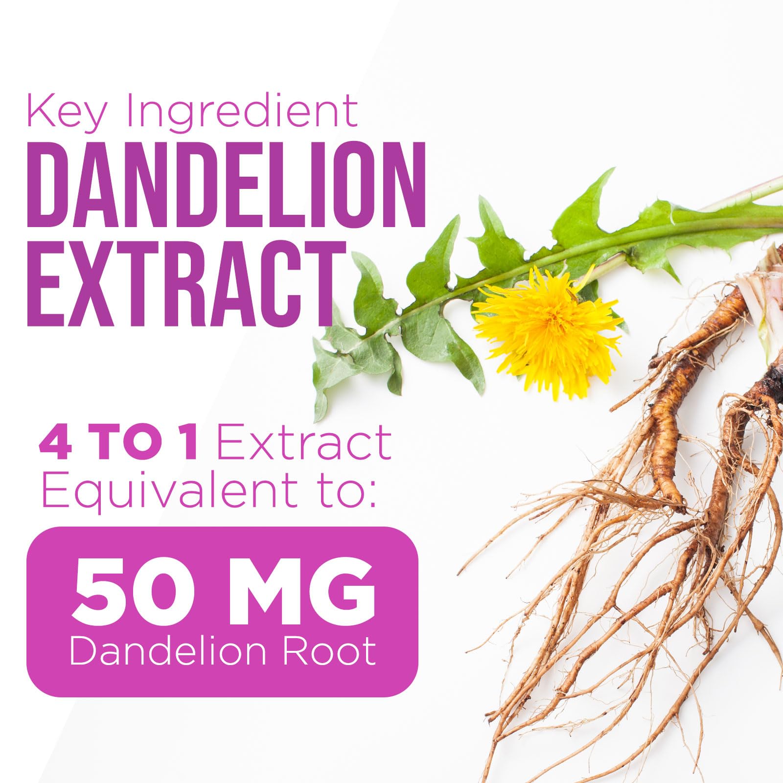 Capsules close-up of Milk Thistle supplement