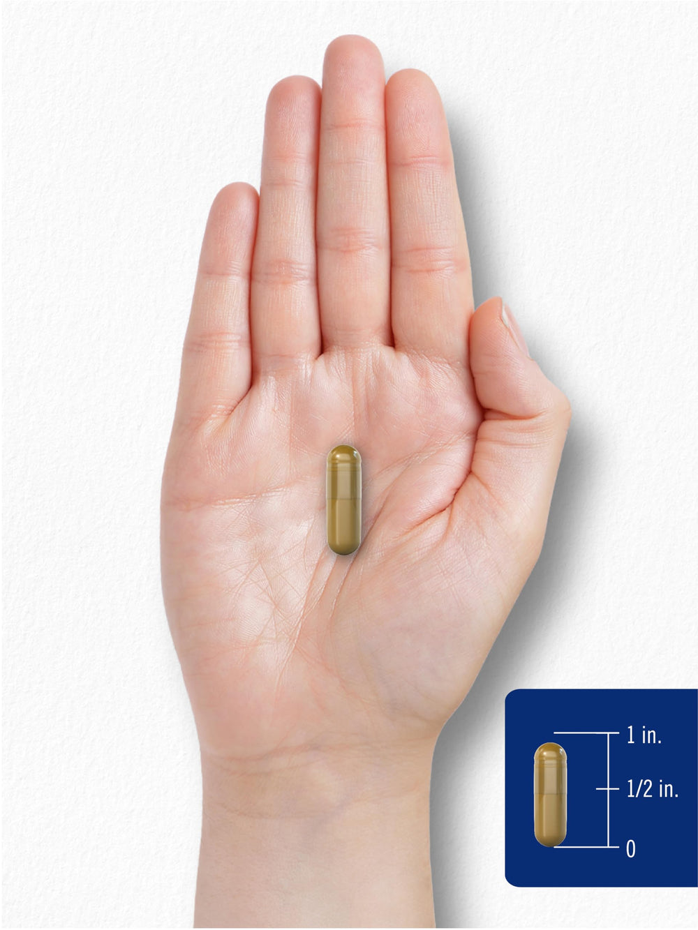 Capsules arranged in bottle against white background