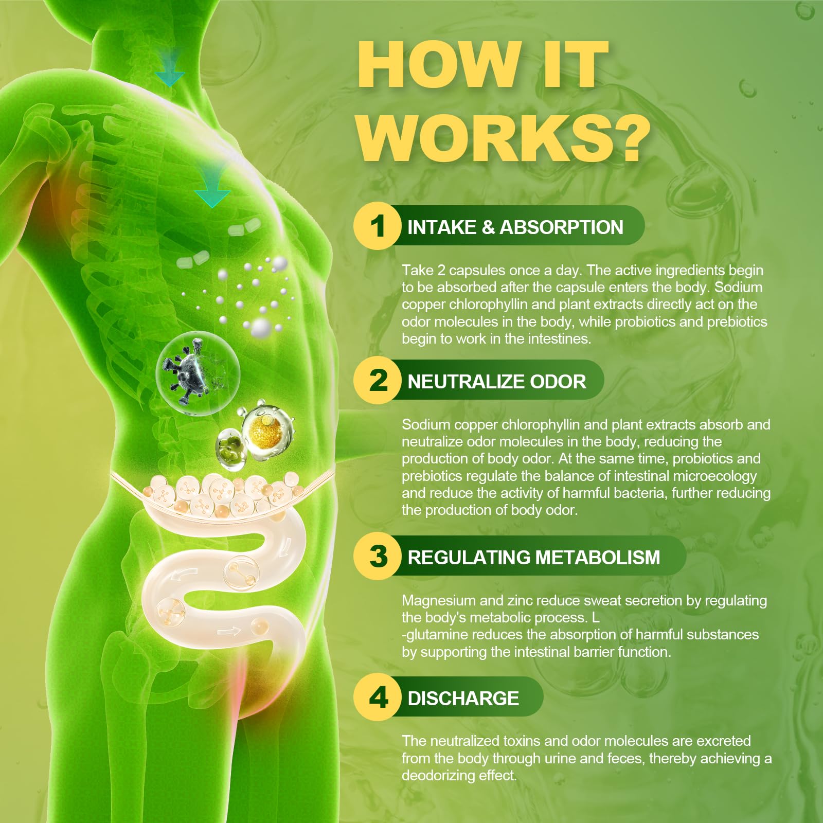 Capsules representing internal deodorant action and gut health