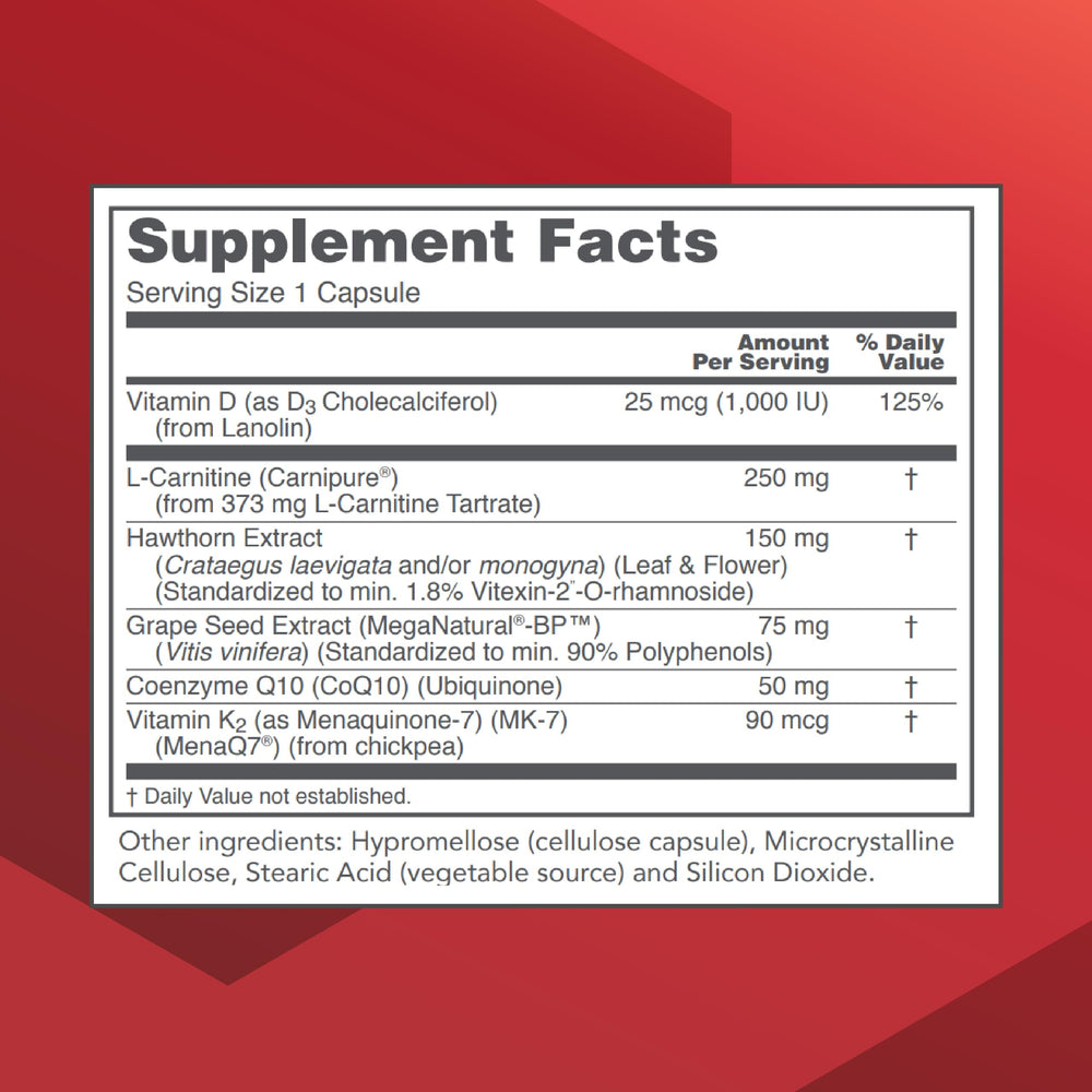 L-Carnitine and heart energy illustration for Cardio-6