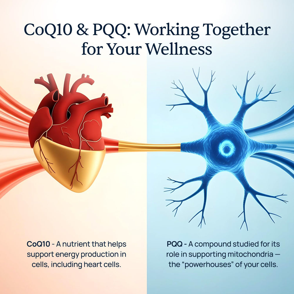 Graphic representing heart health and CardioClear7 branding