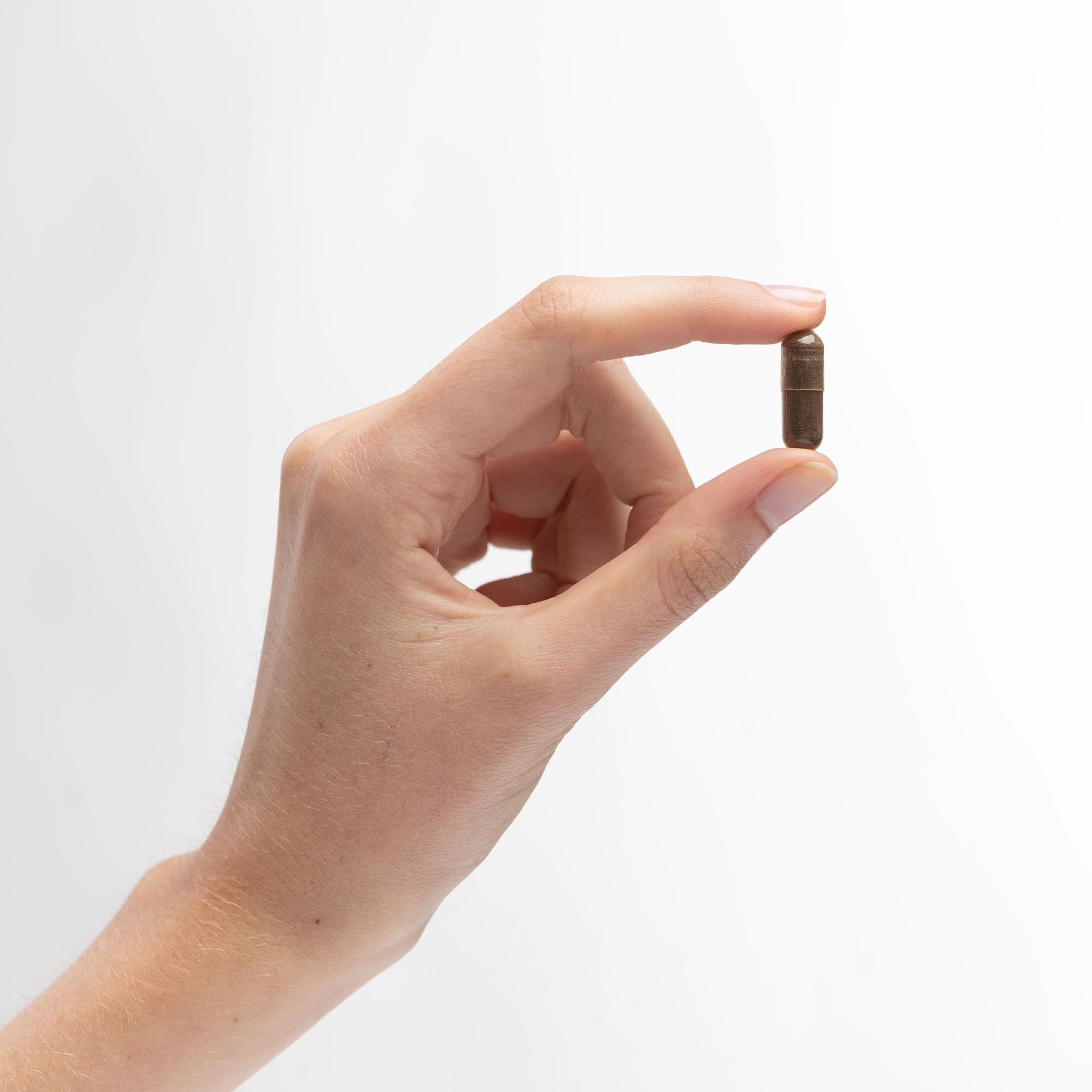 Heart and cardiovascular health illustration