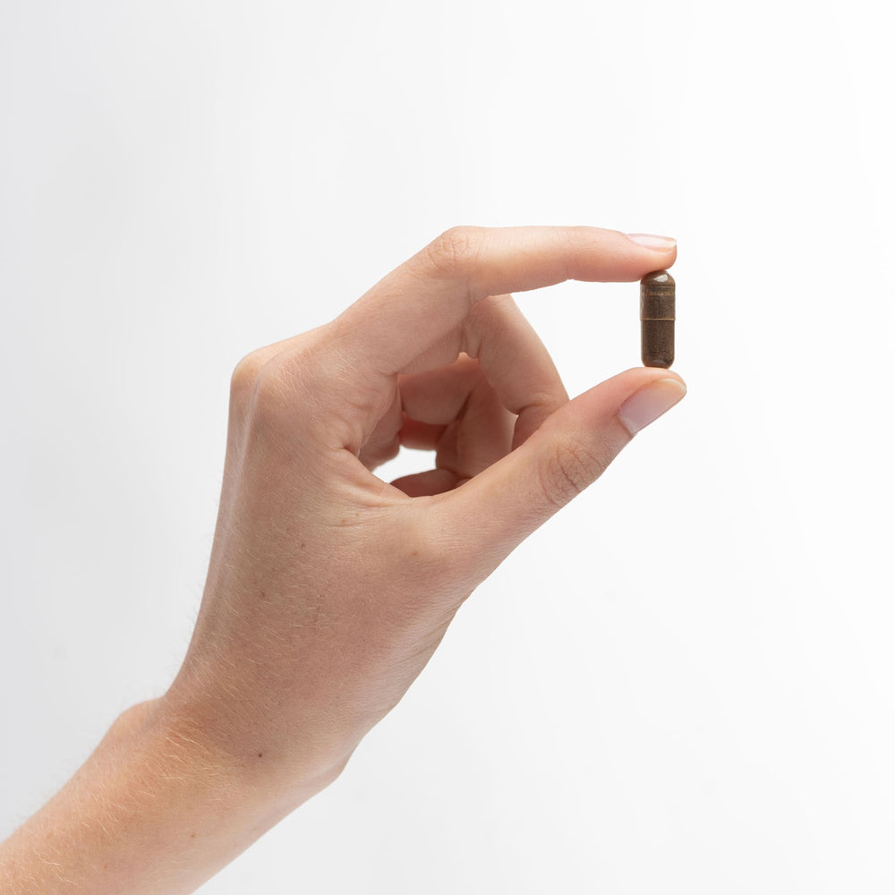 Heart and cardiovascular health illustration