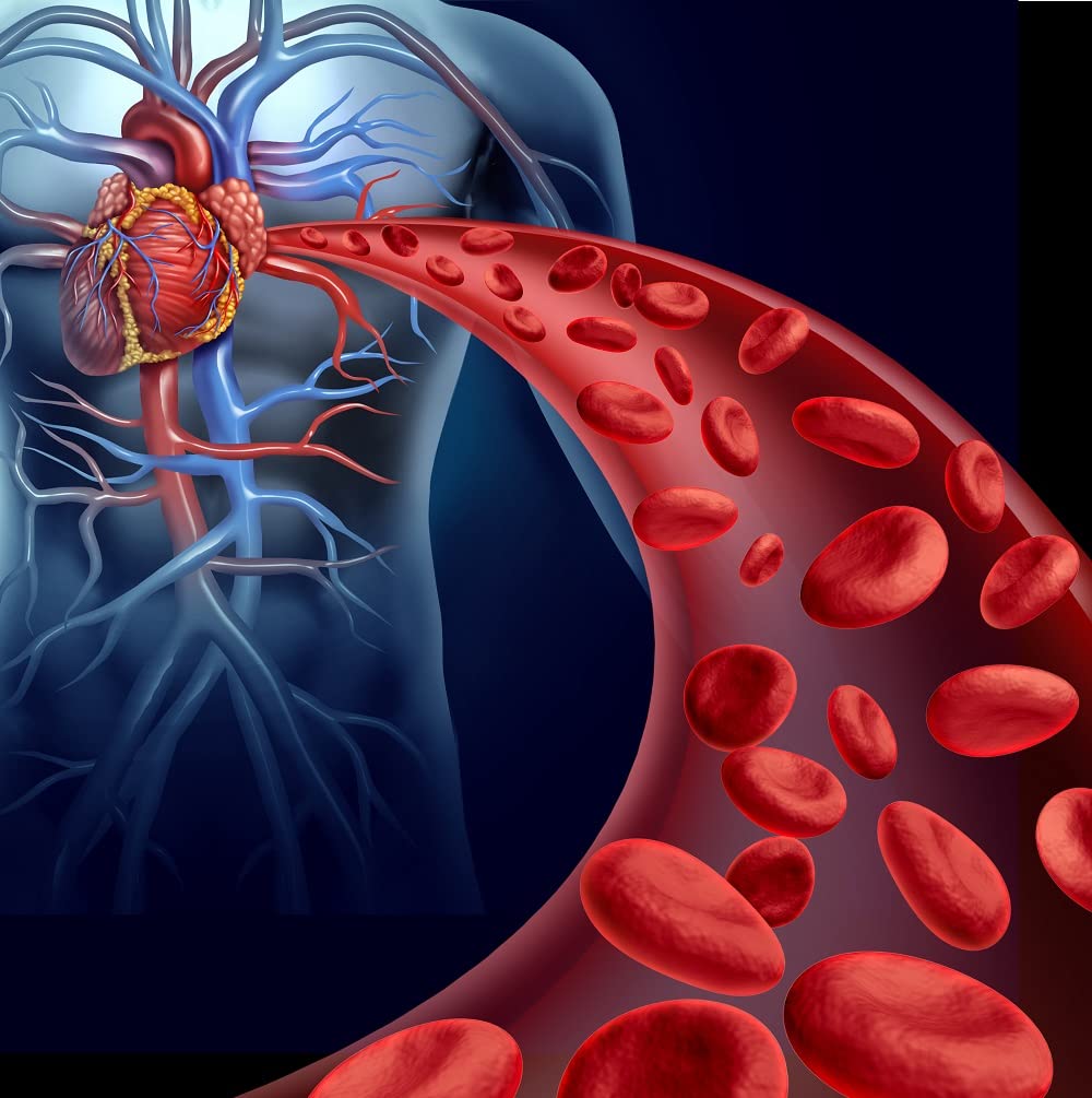 Graphic highlighting cardiovascular support with nattokinase