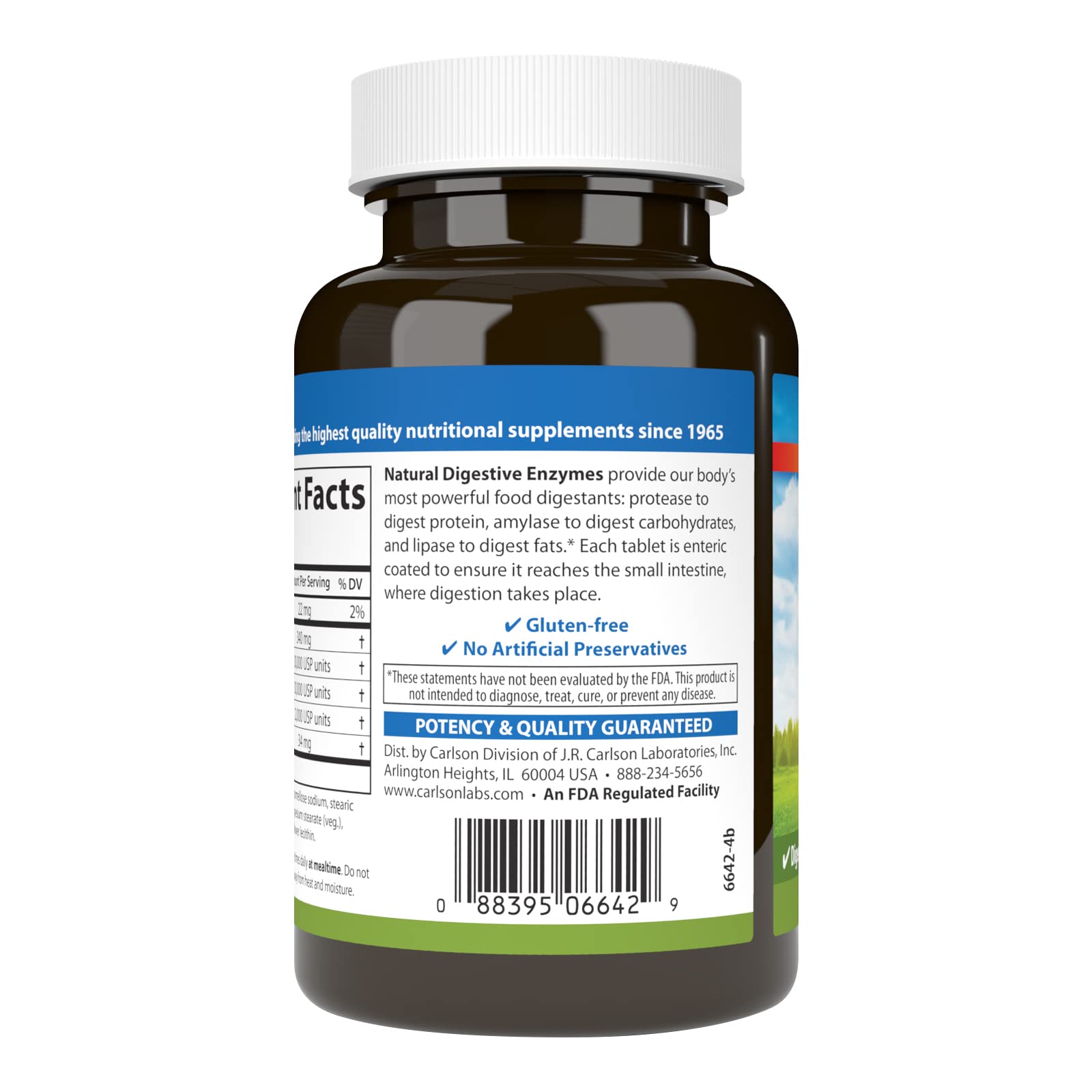 Coated digestive enzyme tablets