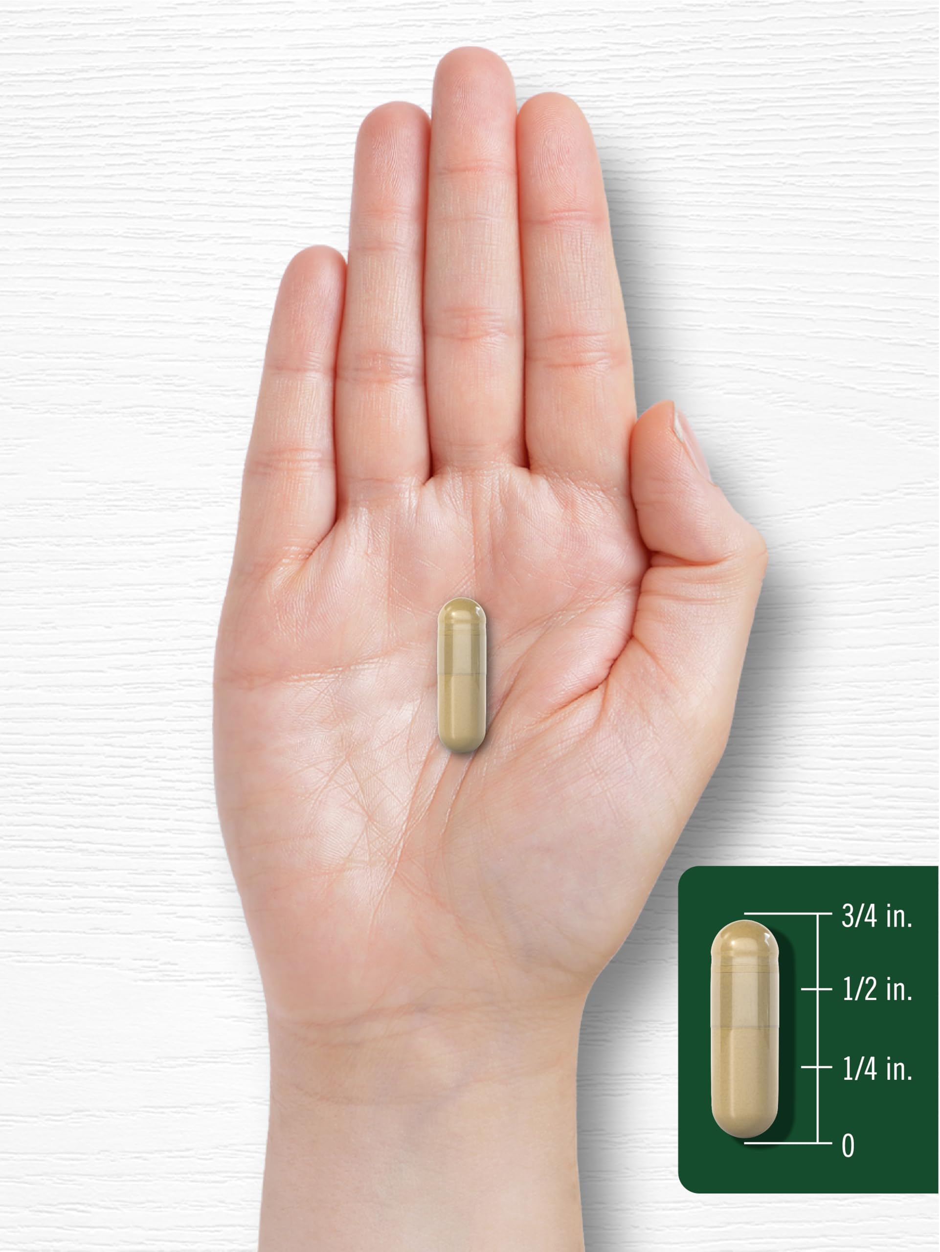 Carlyle Bacopa Monnieri Capsules product shot with branding