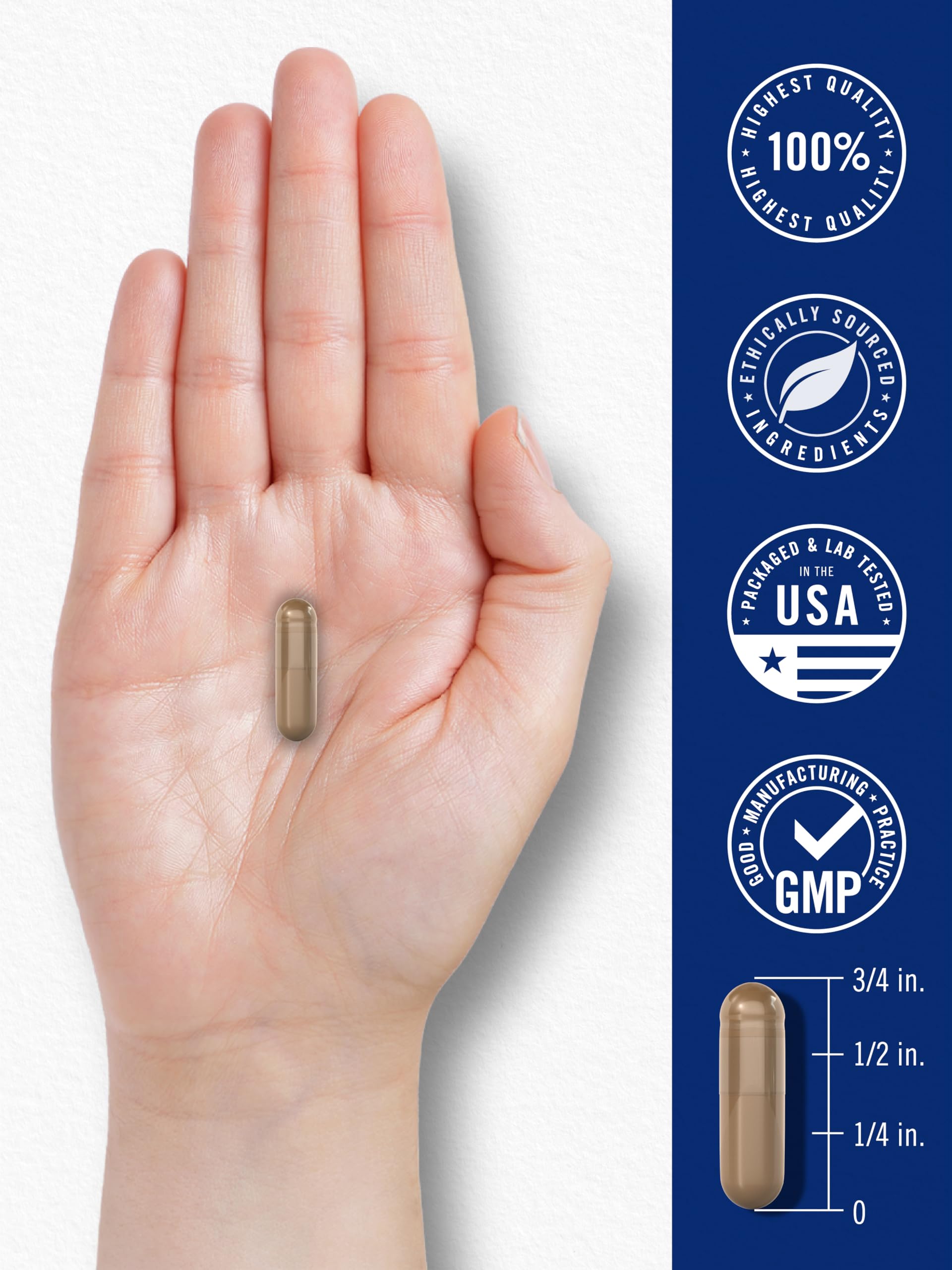 Product packaging for Carlyle Blood Circulation Supplement