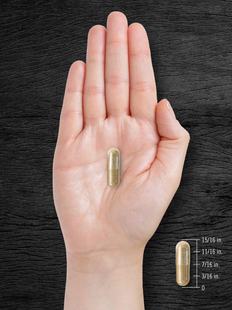 Carlyle Manufacturers quality guaranteed seal