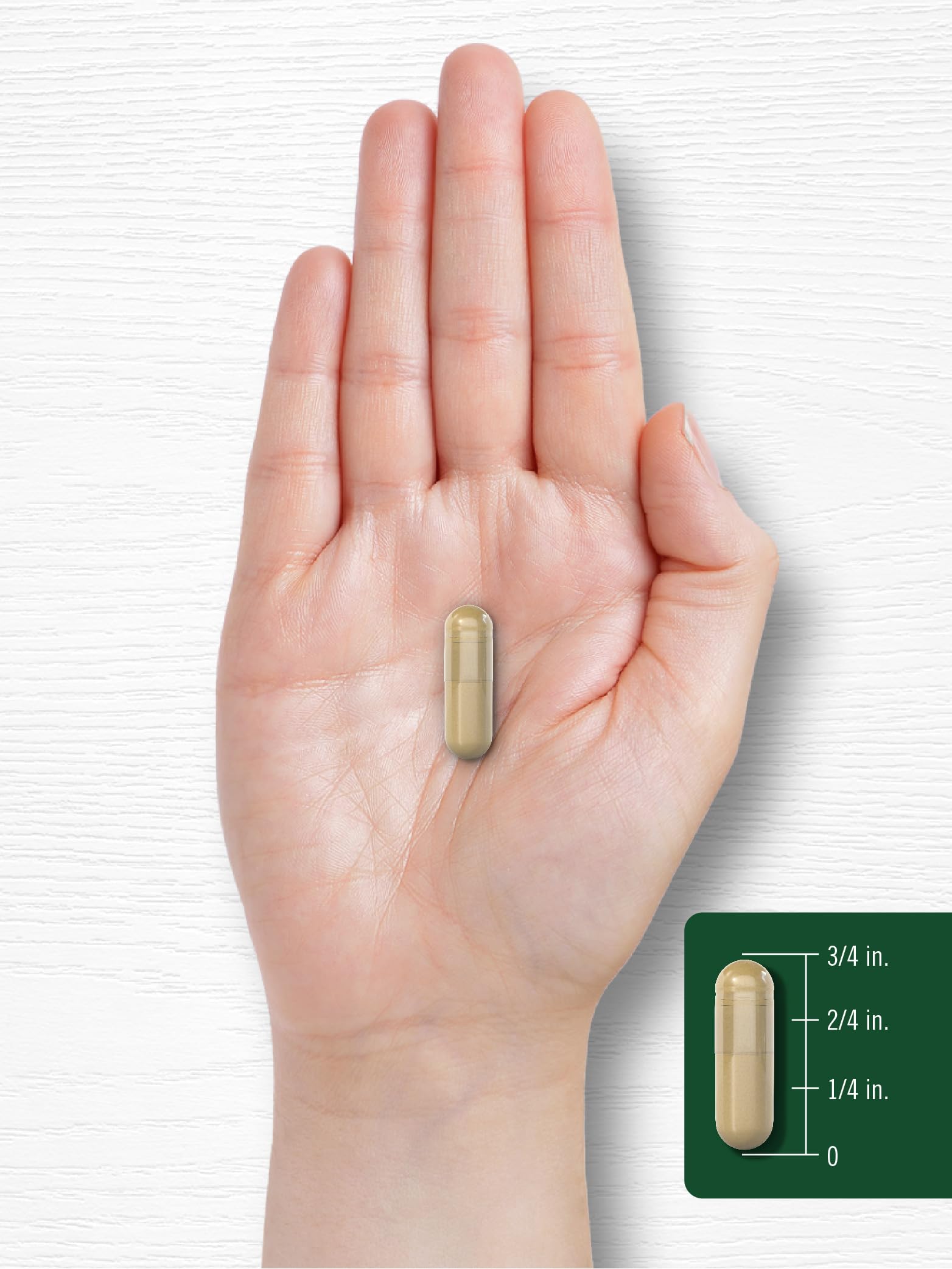 Carlyle Manufacturing trust marks on supplement image