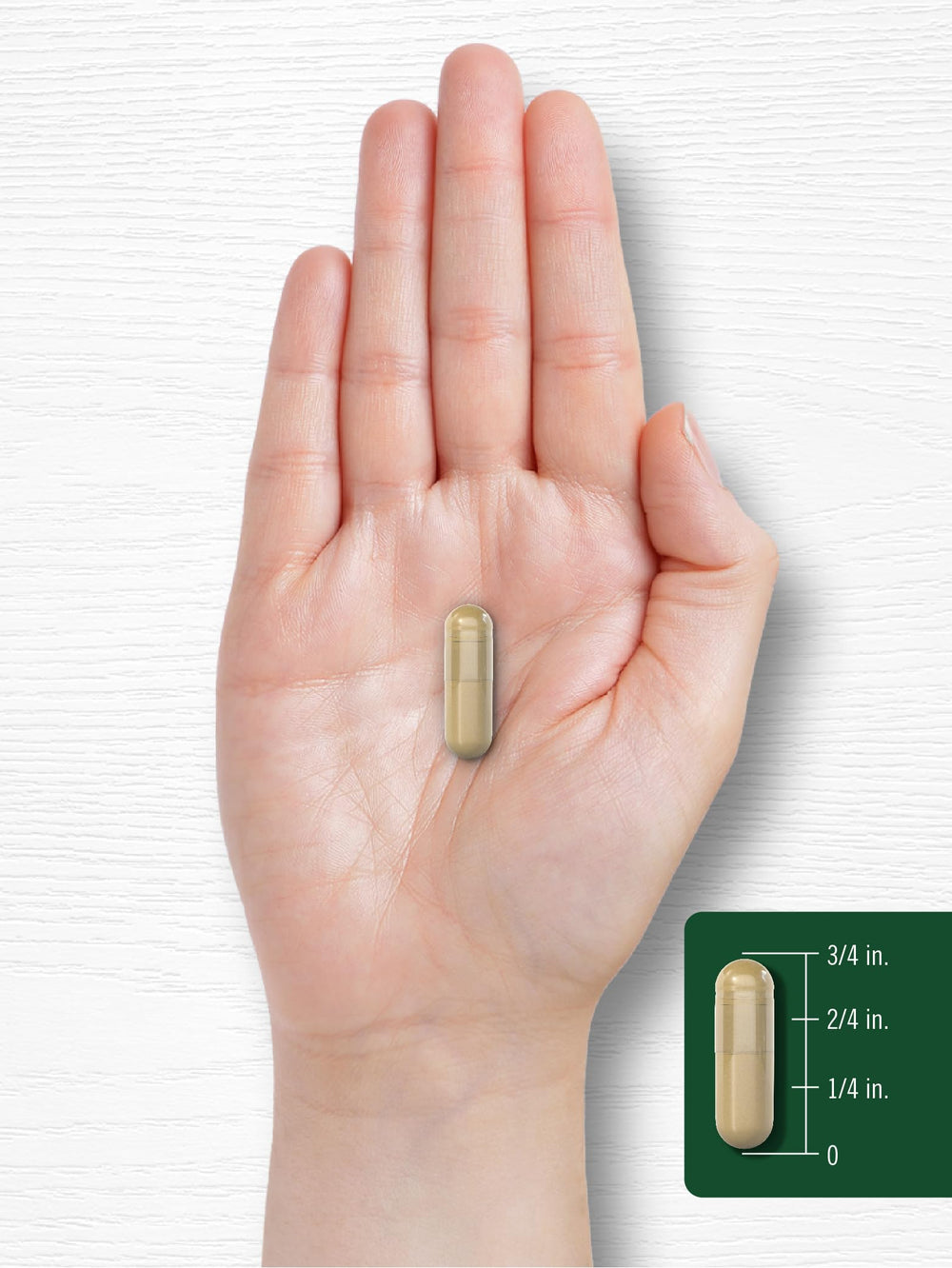 Carlyle Manufacturing trust marks on supplement image