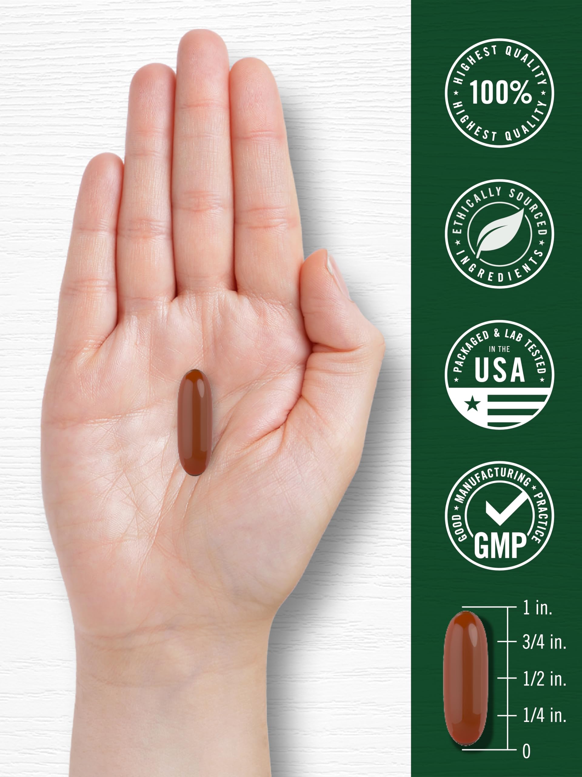 Wellness lifestyle image featuring Carlyle Sunflower Lecithin Softgel Capsules