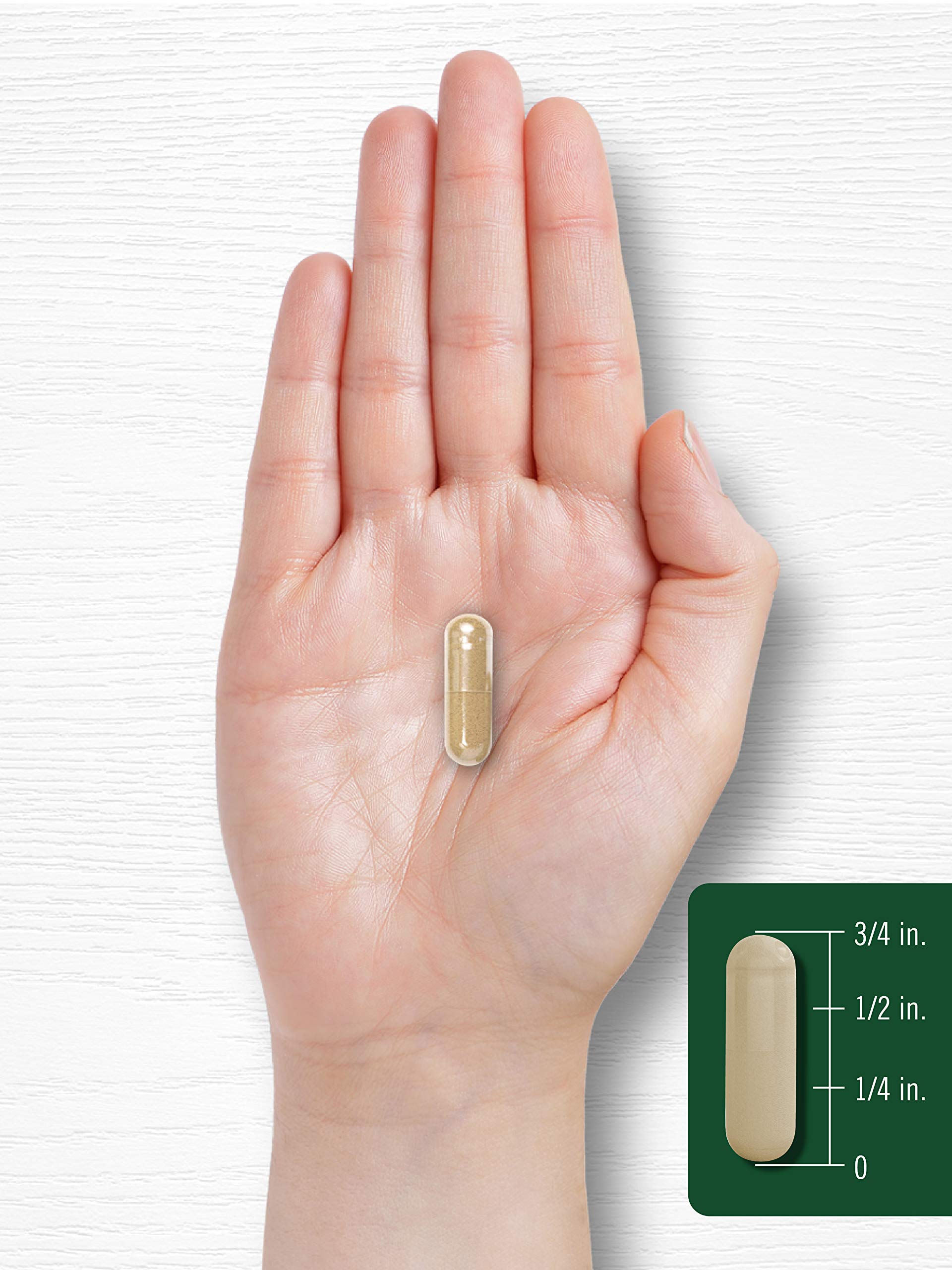 Front packaging of Carlyle Wild Lettuce Extract