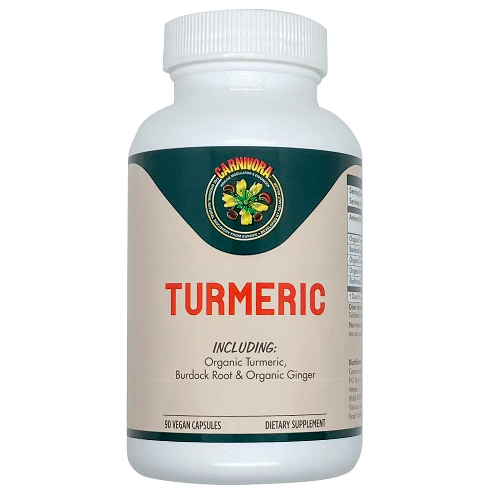 Carnivora Turmeric product hero image
