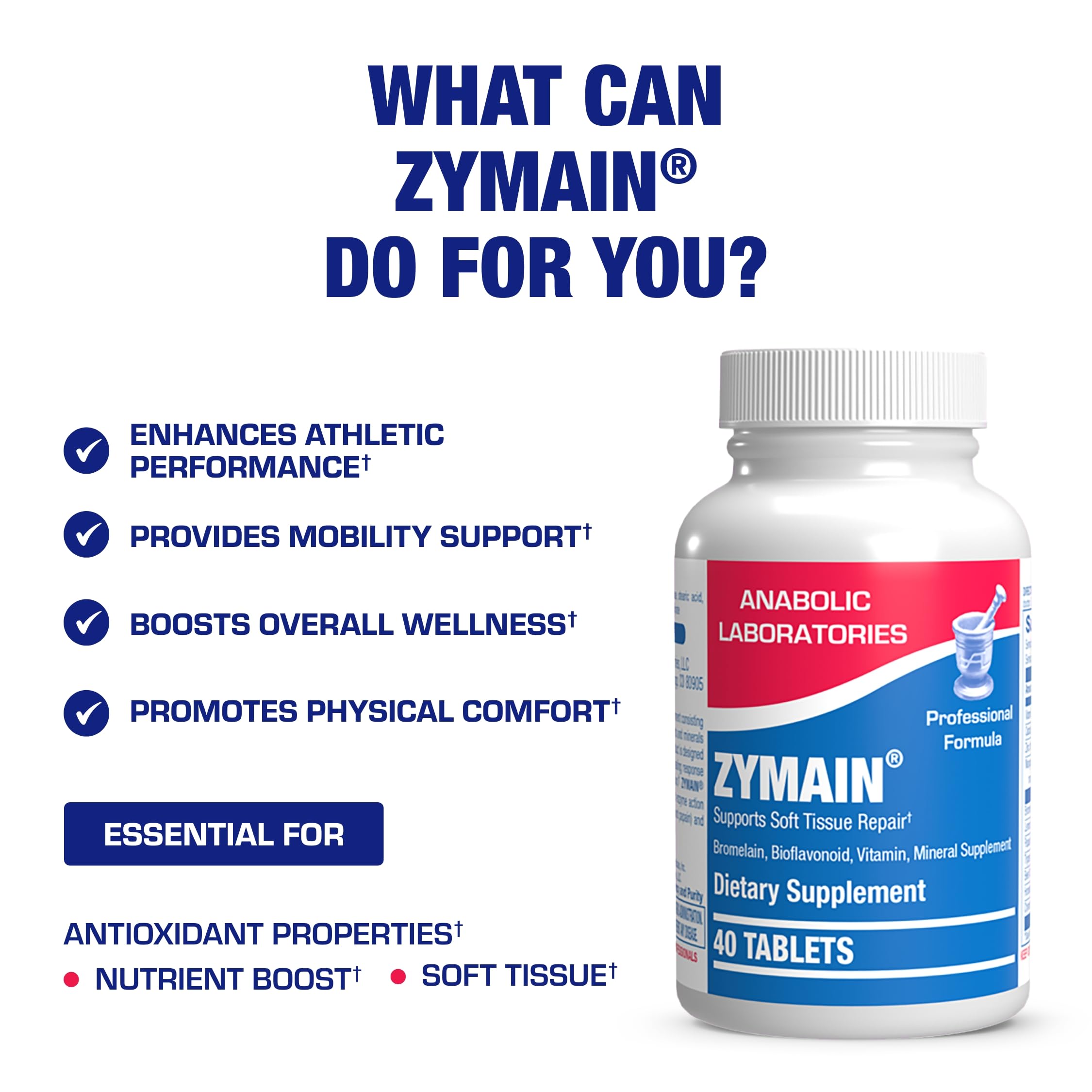 Bovine cartilage minerals concept image