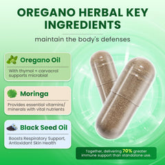 Carvacrol 85 percent oregano oil illustration