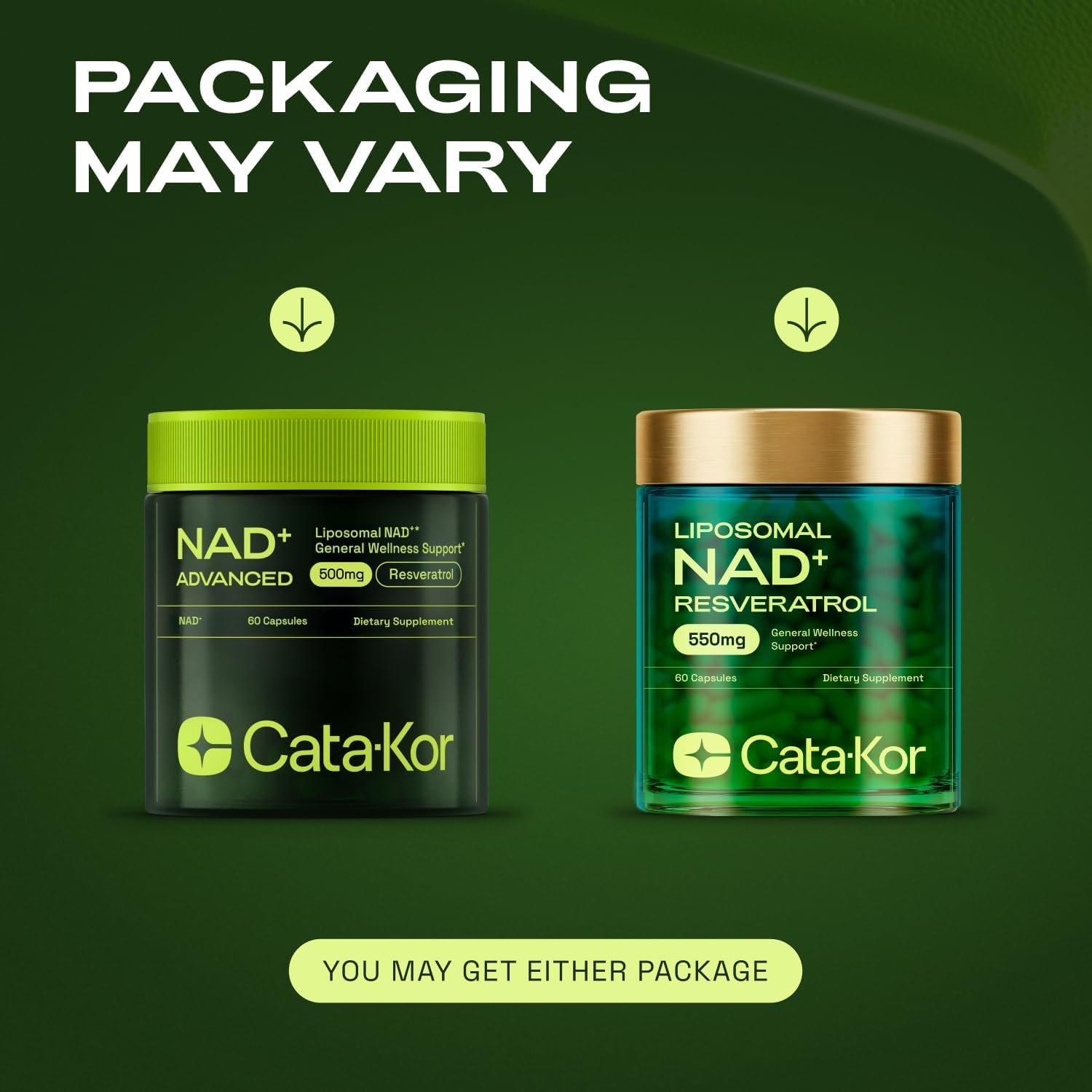 Liver health concept related to NAD+ supplementation