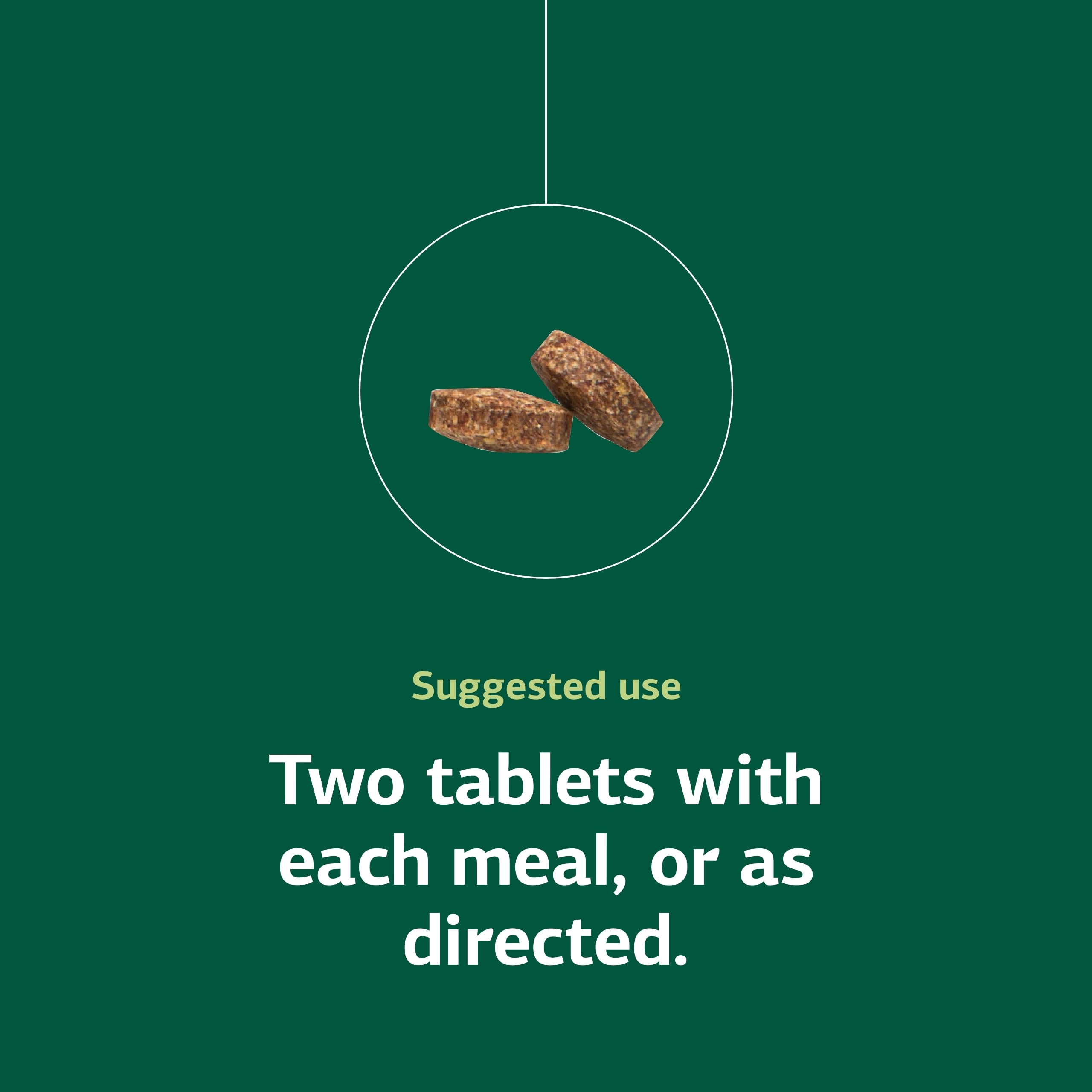 Diagram highlighting B vitamins and energy support