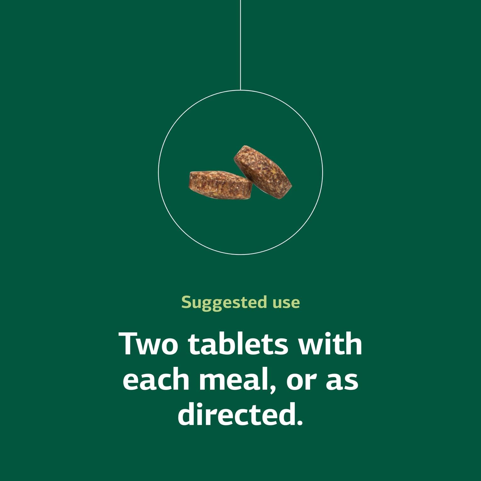 Diagram showing metabolism and energy support from Cataplex B