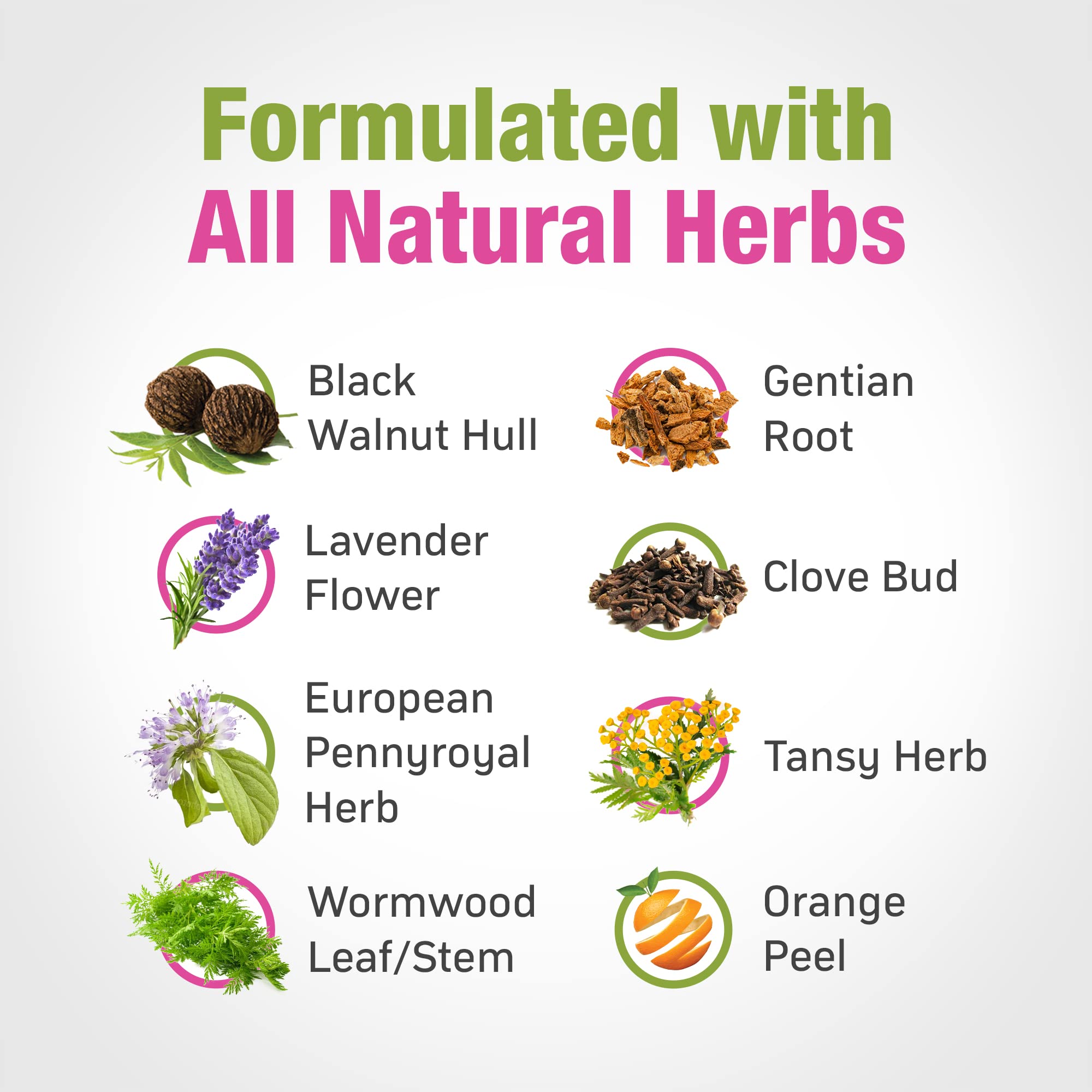 Cedar Bear Naturales herbal blend with black walnut and orange peel for digestion.