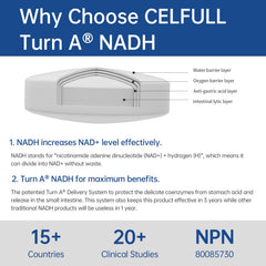 CELFULL NADH tablet image emphasizing its stabilized form for absorption