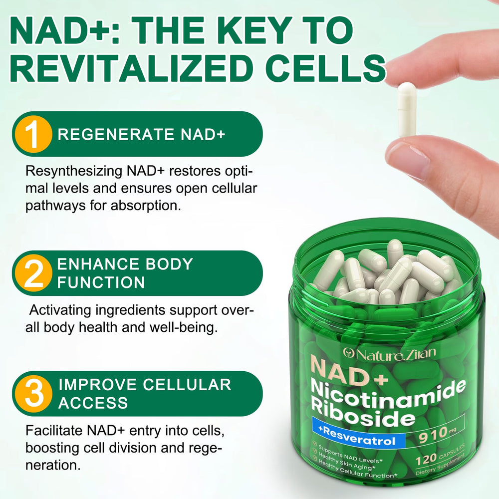 Graphic illustrating cellular energy support from NR supplement