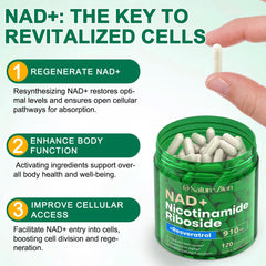 Graphic illustrating cellular energy support from NR supplement