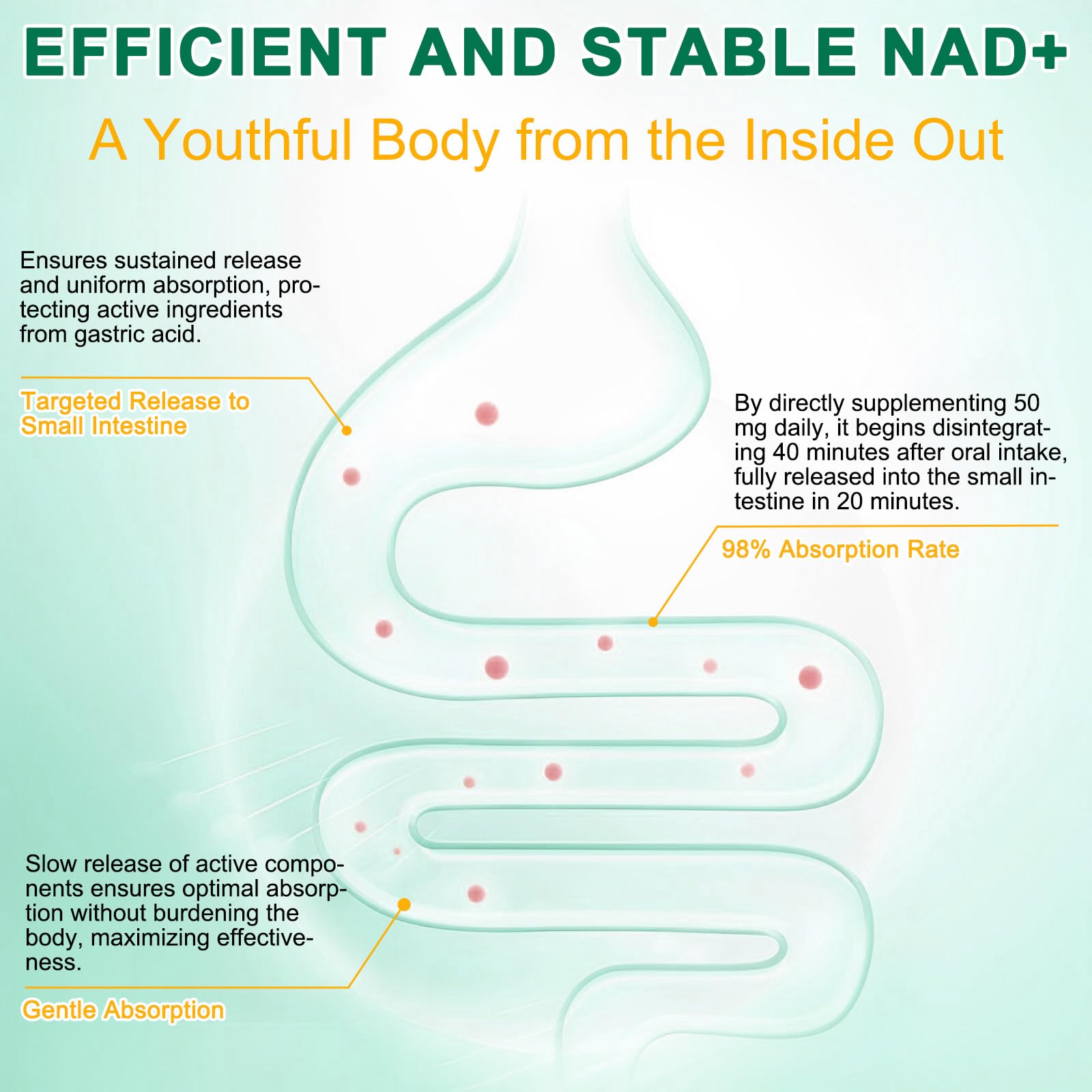 NAD+ cell regeneration and DNA repair concept