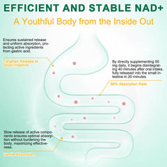 NAD+ cell regeneration and DNA repair concept