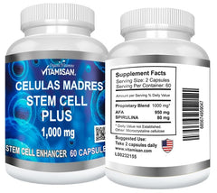 Made in USA Celulas Madres graphic