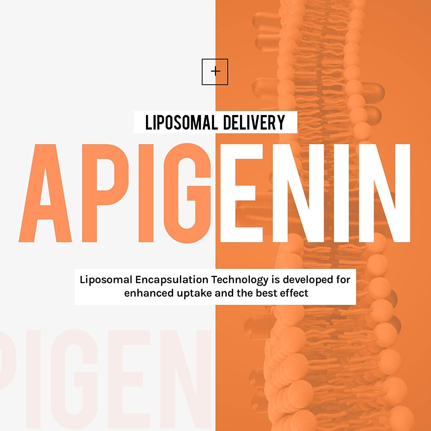 Close-up of liposome-encapsulated apigenin softgels