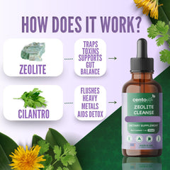 Graphic of ingredients: chlorella, cilantro, milk thistle, dandelion root, zeolite, vitamin C