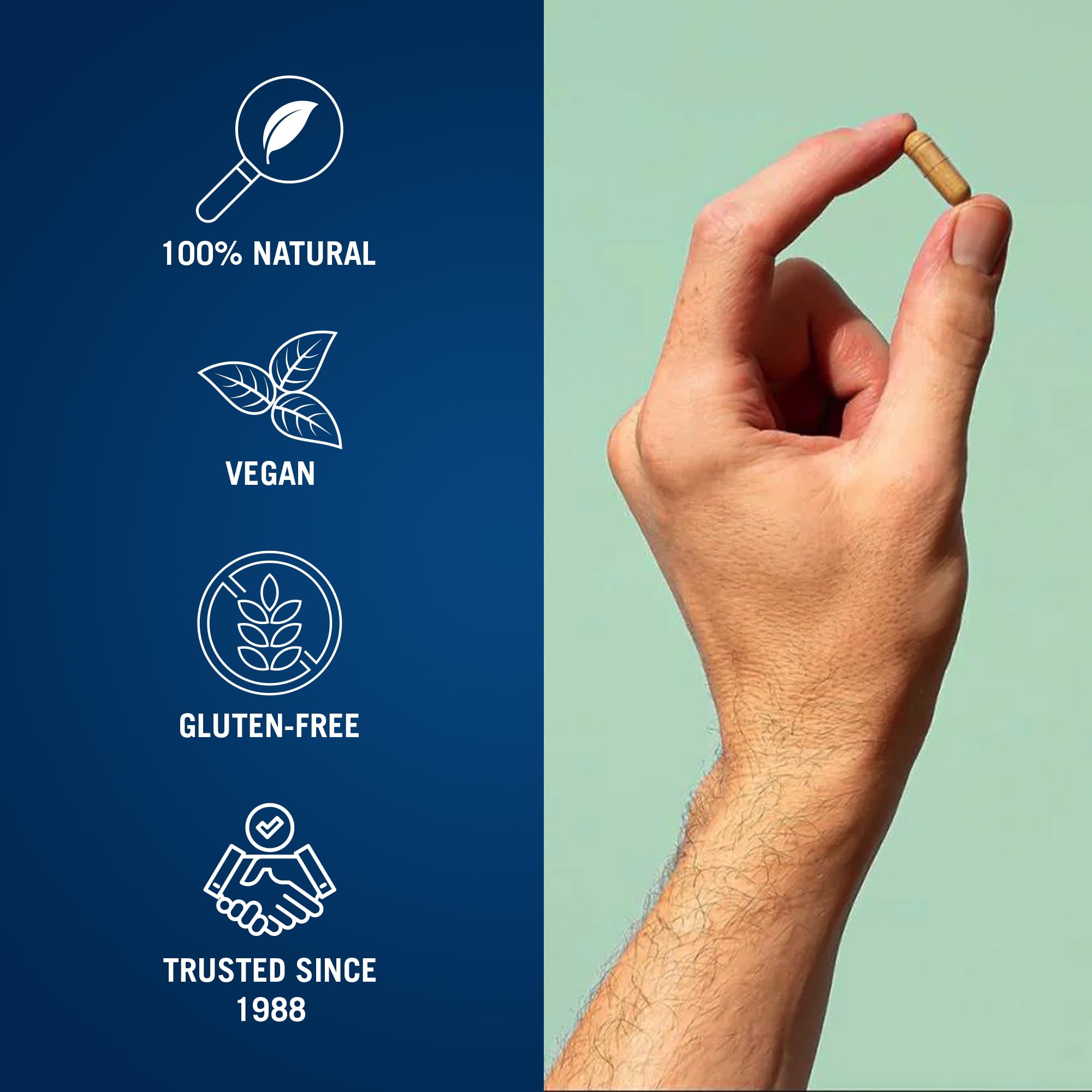 Digestive health support with The Cleaner Detox