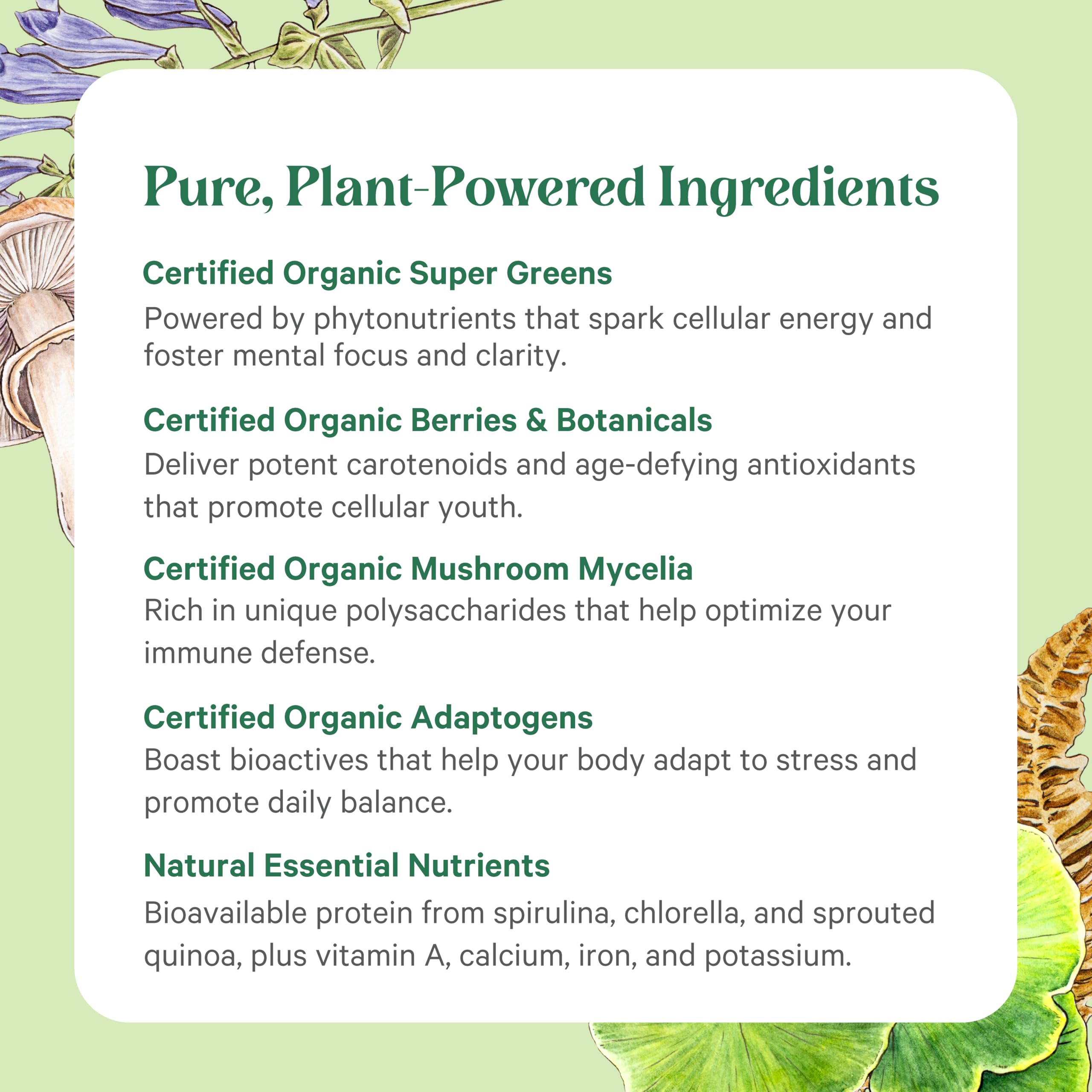 Certified Organic, Non-GMO, Vegan, Gluten-Free labels