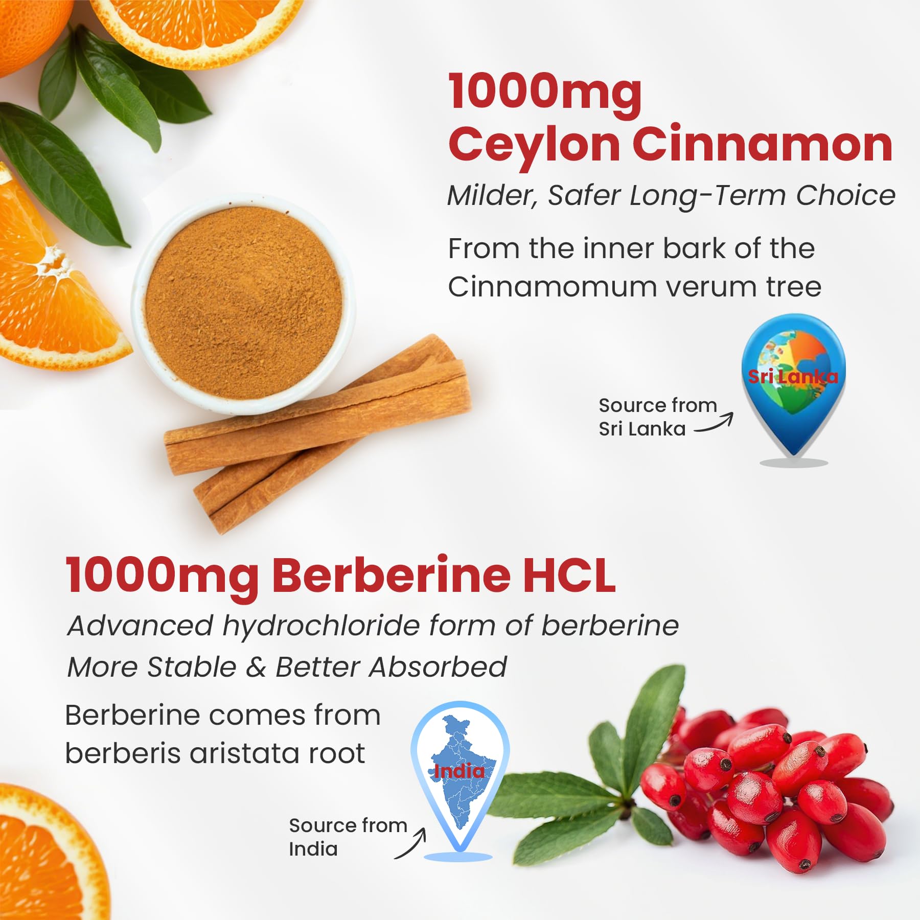 Close-up of ingredients including berberine HCl, Ceylon cinnamon, bitter melon and green tea