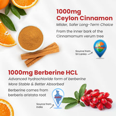 Close-up of ingredients including berberine HCl, Ceylon cinnamon, bitter melon and green tea