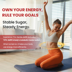 Organic Ceylon cinnamon illustration with orange gummy visuals