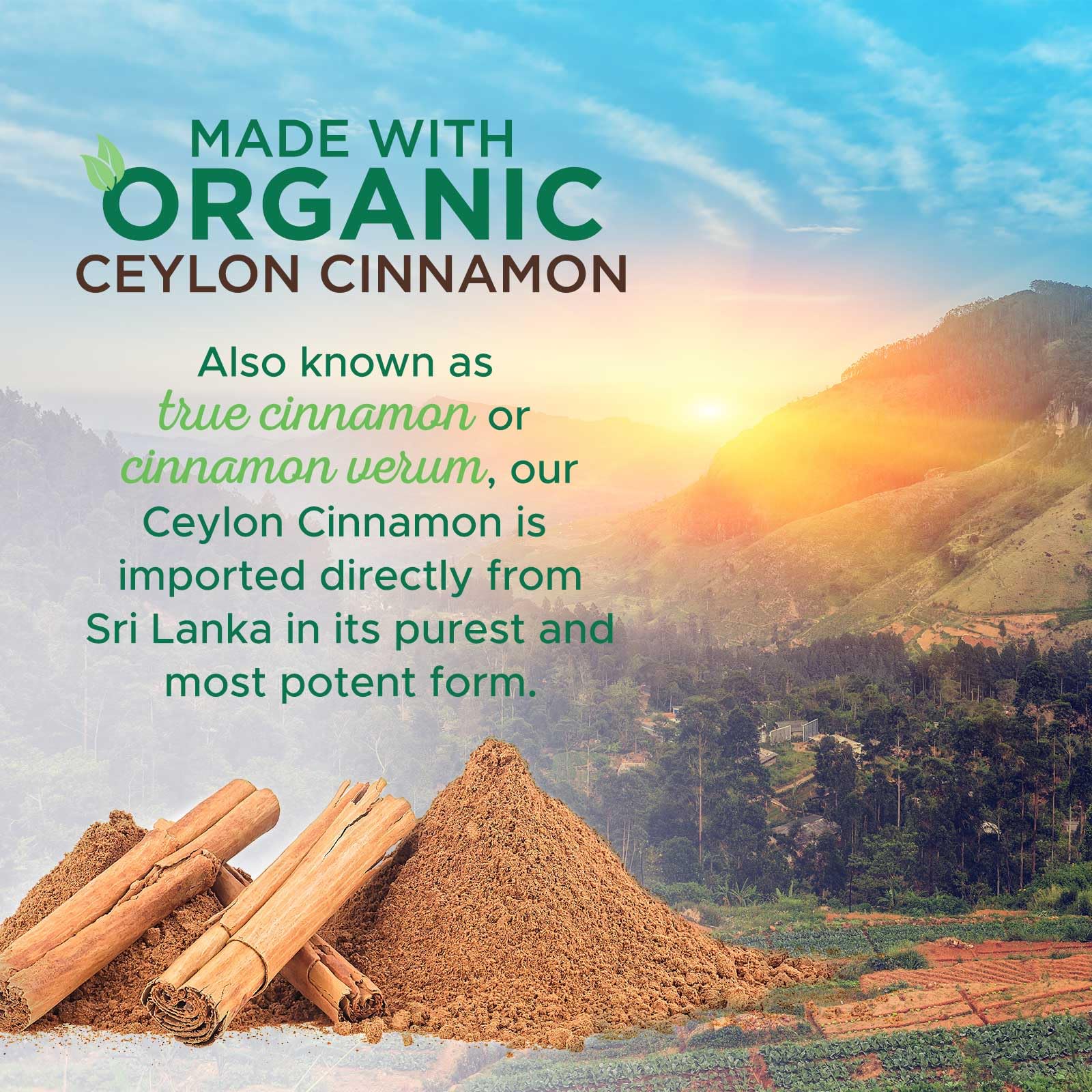 Back of bottle showing 1800mg serving and vegan capsules