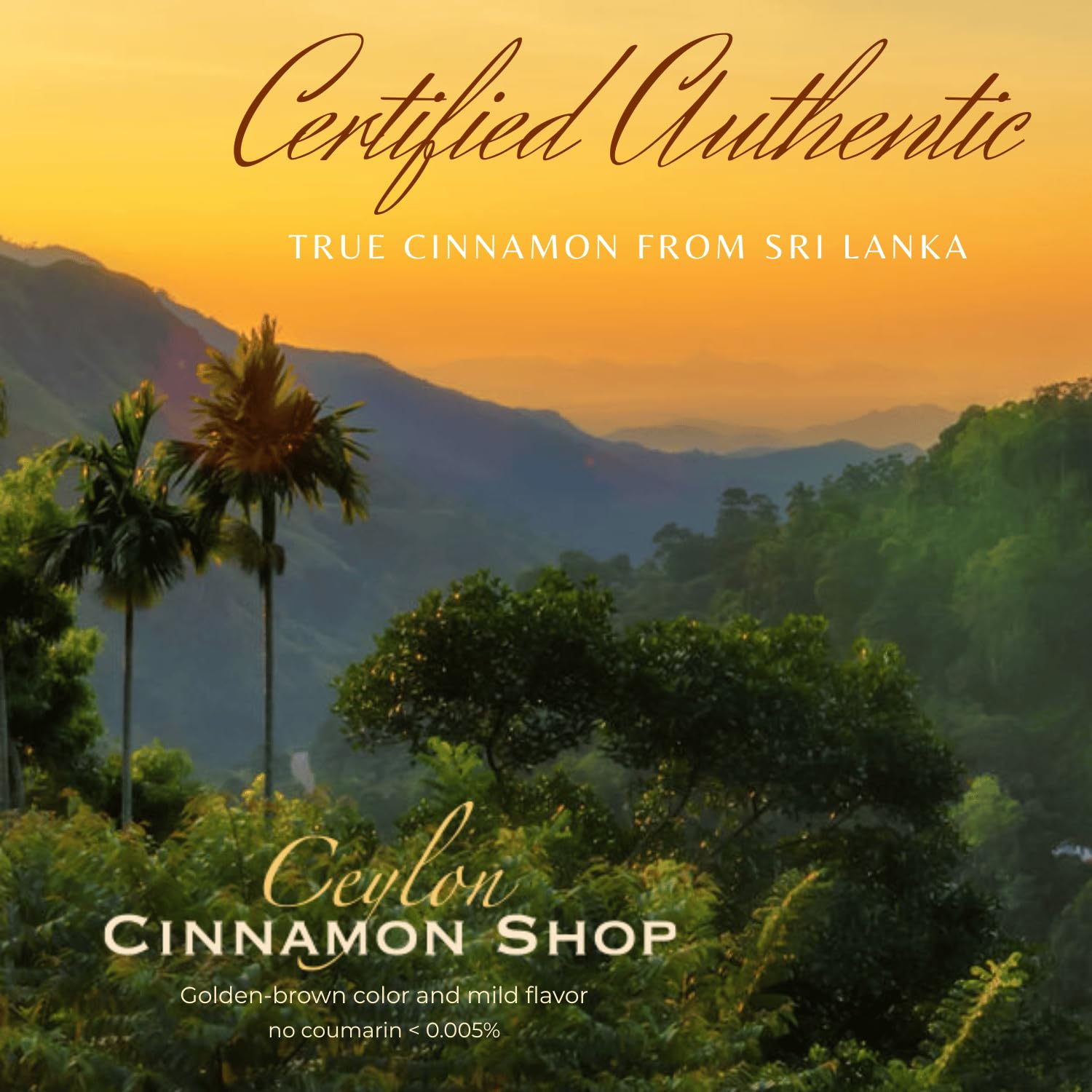 Non-GMO certification seal for Ceylon Cinnamon supplement