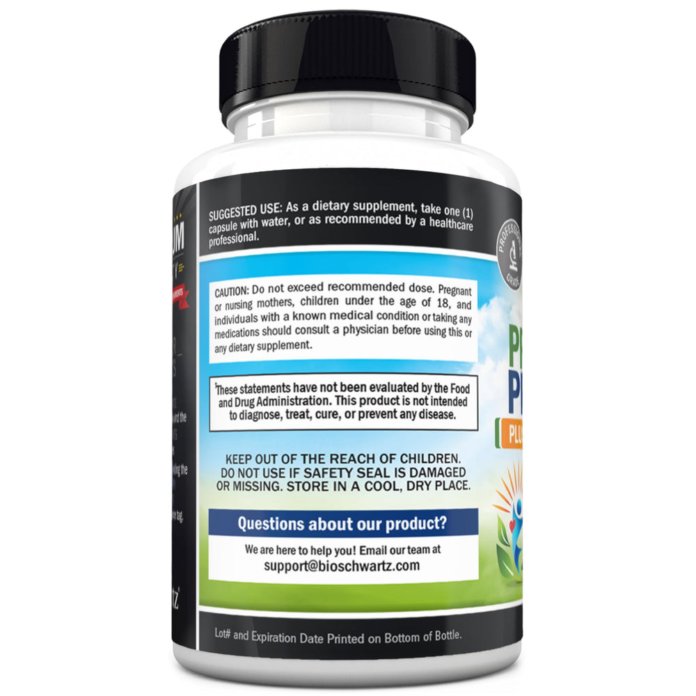 CGMP facility production and quality assurance