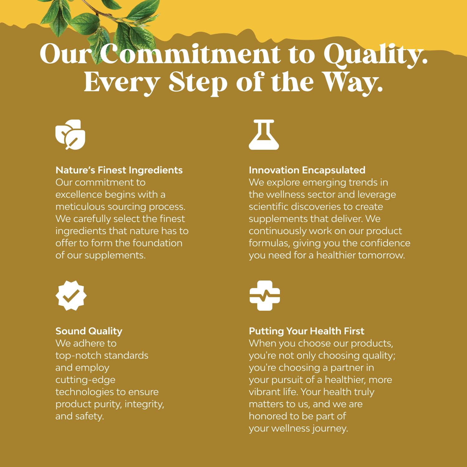 Manufactured in American cGMP labs for quality assurance